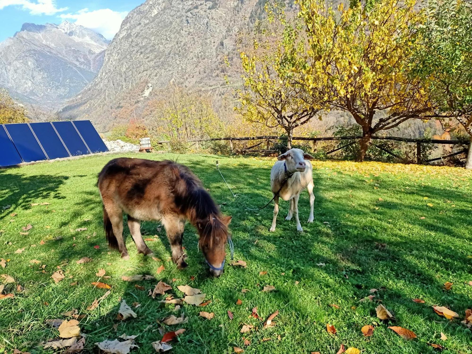 La Fattoria Di Roven Villa Gignod Buitenkant foto